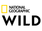 National Geographic Wild