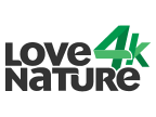 Love Nature 4K